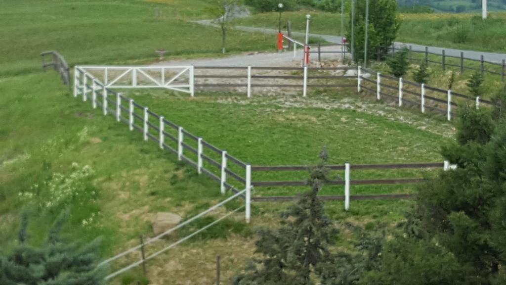 Allevamento B&B Pozzol Groppo Exteriér fotografie